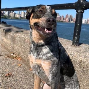 Meet your Posher, Meghan